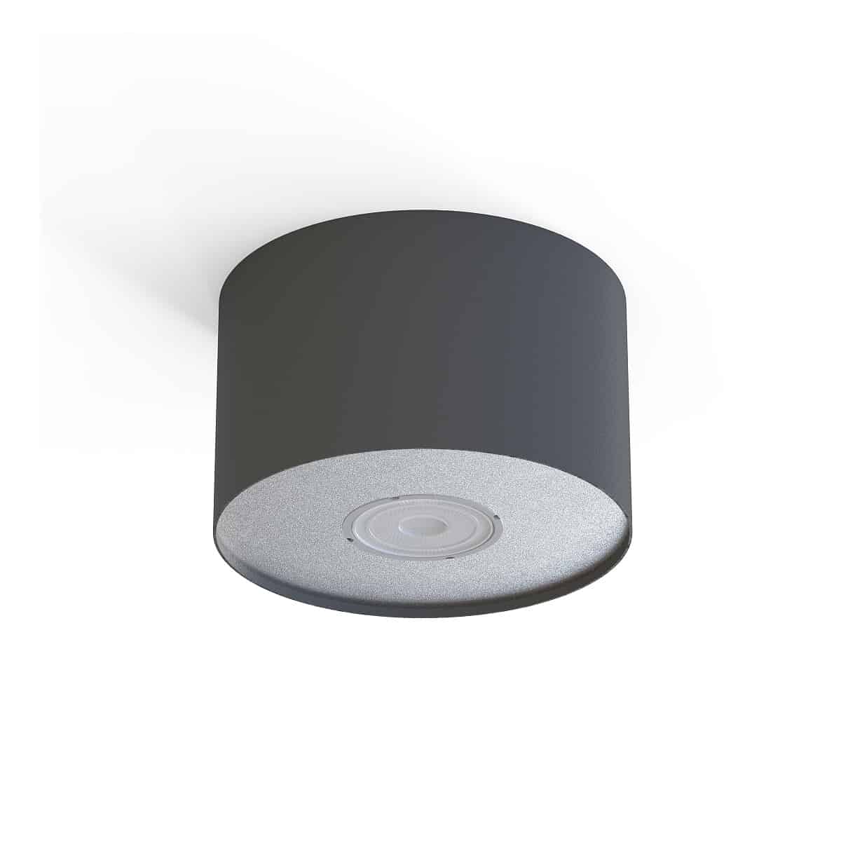 Plafon Point graphite silver/graphite white S 6006